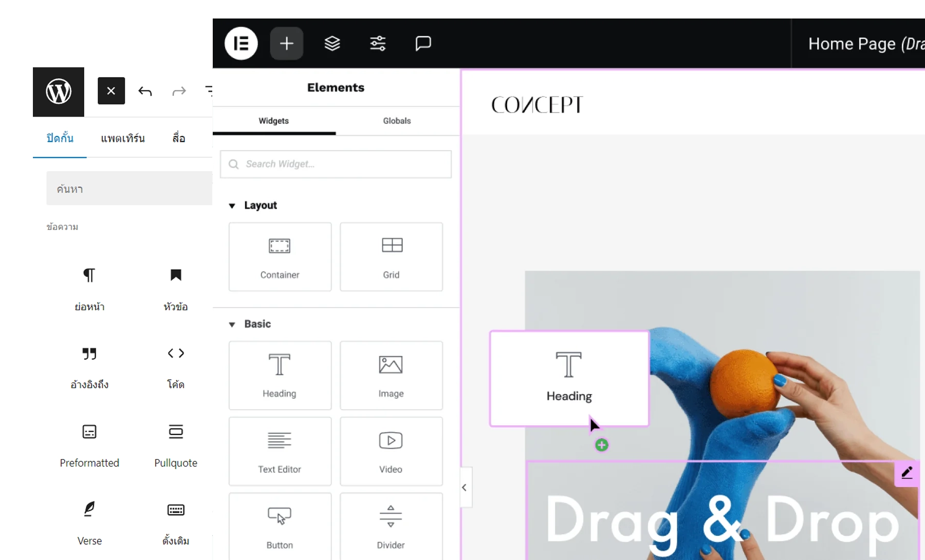 รองรับ Page Builder Elementor
และ Gutenberg