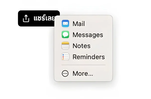 ตัวอย่างการใช้ WPT Share Pro บน macOS